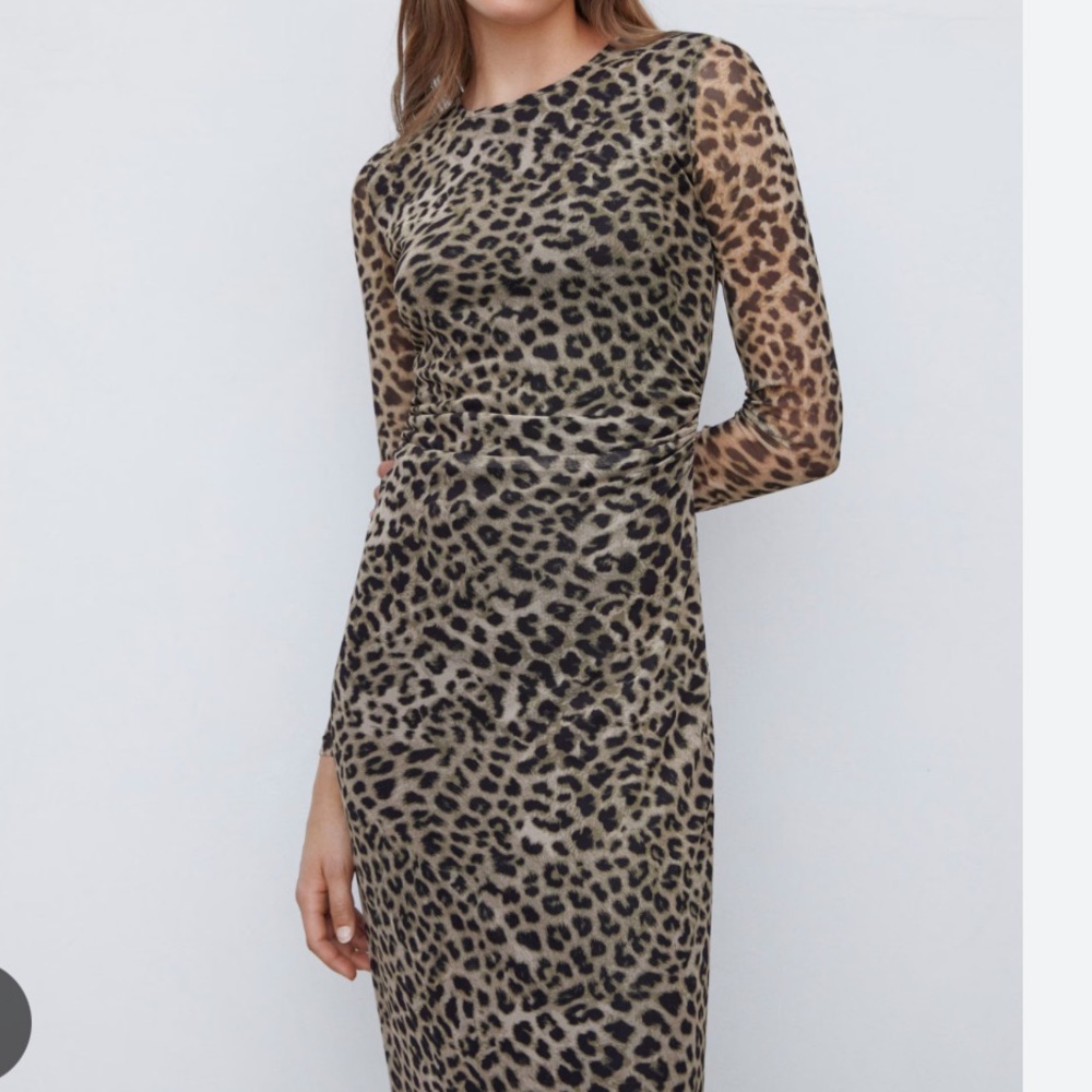 Mango Claude / Leopard print bodycon dress